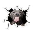thumbnail image 1 of CAROOTU Funny Car Stickers Electrostatic Decorative Glass Window Decal Sticker Adhesive, 1 of 5