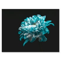 Designart ' Close Up Of White and Pure Blue Daisy Flower II ' Traditional Canvas Wall Art Print