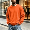 thumbnail image 5 of Men's Solid Color Crewneck Sweatshirt with Ribbed Cuffs and Hem Casual Basic Long Sleeve Top, S-3XL, 5 of 6