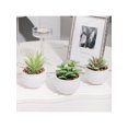 thumbnail image 1 of A Set Of 3 Miniature Artificial Succulent Plants, Green Plants In Black Pots, Made Of Pe, Faux Plant, Ideal For Desk Decoration, Home And Garden Decor, 1 of 4