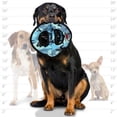thumbnail image 3 of TUFFY® Ultimate 3WayRing Camo Blue, 2-Pack, Durable Plush Squeaky Dog Toys, 3 of 9