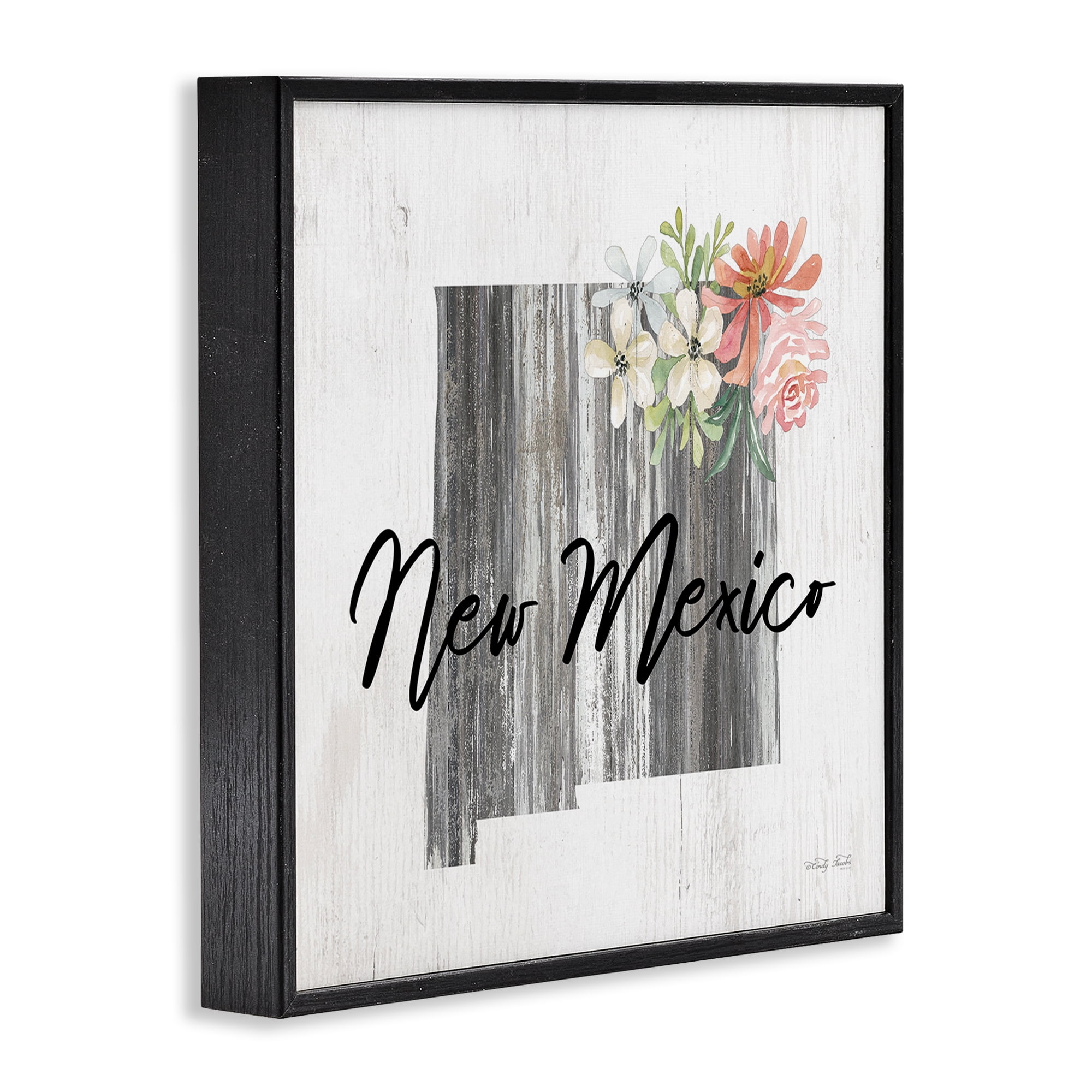 Stupell Industries Shabby Chic New Mexico Botanical & Floral Painting Black Framed Art Print Wall Art, 17 x 17