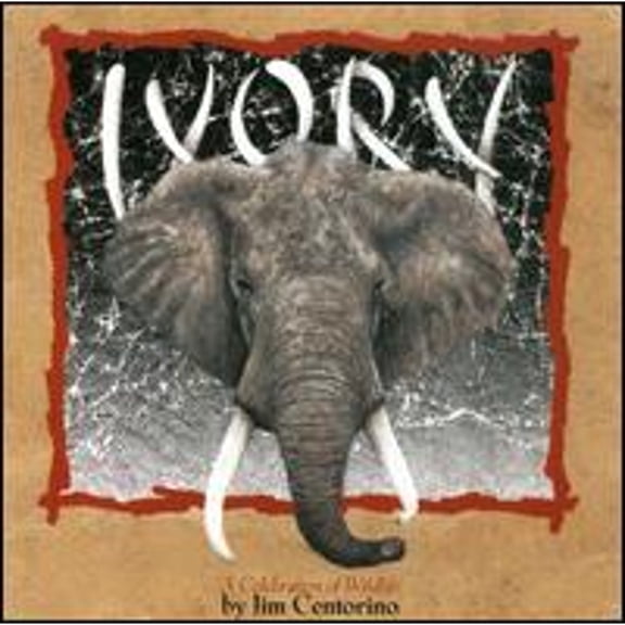 Pre-Owned Ivory