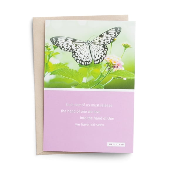 DaySpring Max Lucado Tender Comfort Premium Sympathy Cards, 6 Count