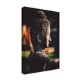 thumbnail image 2 of Trademark Fine Art 'All These Years' Canvas Art by Philippe Sainte-Laudy, 2 of 3