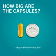 Noophoric Vitamin B Complex Supplement – B Complex Capsules with Vitamin C for Energy & Metabolism Support, 60 Capsules