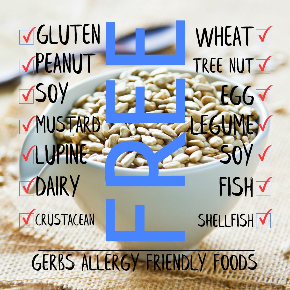 Raw Sunflower Seed Kernels by Gerbs - 2 LBS. - Top 14 Food Allergen Free & NON GMO - Vegan & Kosher