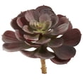 thumbnail image 2 of Nearly Natural 6" Plastic/Polyester Echeveria Succulent Artificial Plant (Set of 12), Red, 2 of 6