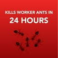 thumbnail image 4 of Ortho Home Defense Indoor/Outdoor Metal Ant Bait Stations - 60 Traps, 4 of 8