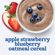 (2 pack) Gerber 2nd Foods Fruit & Cereal Puree Favorites Baby Food, Variety Pack, 4 oz Tubs (32 Pack)