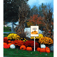 thumbnail image 2 of Aluminum Yard Stake Outdoor Fall Decor Rustic Garden Stake Autumn Yard Sign Welcome Fall Lawn Ornaments for Porch Garden Home Patio Harvest Thanksgiving Halloween Decorations, 2 of 6