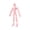 Pink, variant on Christmas 5Pcs 3D Printed Skeleton Action Figure Halloween Articulating Human Body Model Super Realistic Abstract Ornaments for Spooky Scene Decoration, 7 Inch