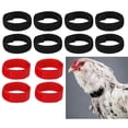 thumbnail image 1 of Collar Gallo Anti Cuervo Salvador Negro y Rojo, 1 of 10