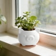 thumbnail image 4 of VAIFTILNO Pig Planter Pot, Cute Succulents Pot with Drainage Hole for Indoor, Outdoor Plants, Home Decor Gift (More Colors), 4 of 6