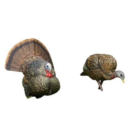 Avian X Strutter Lifelike Collapsible Folding Tom Turkey And Hen