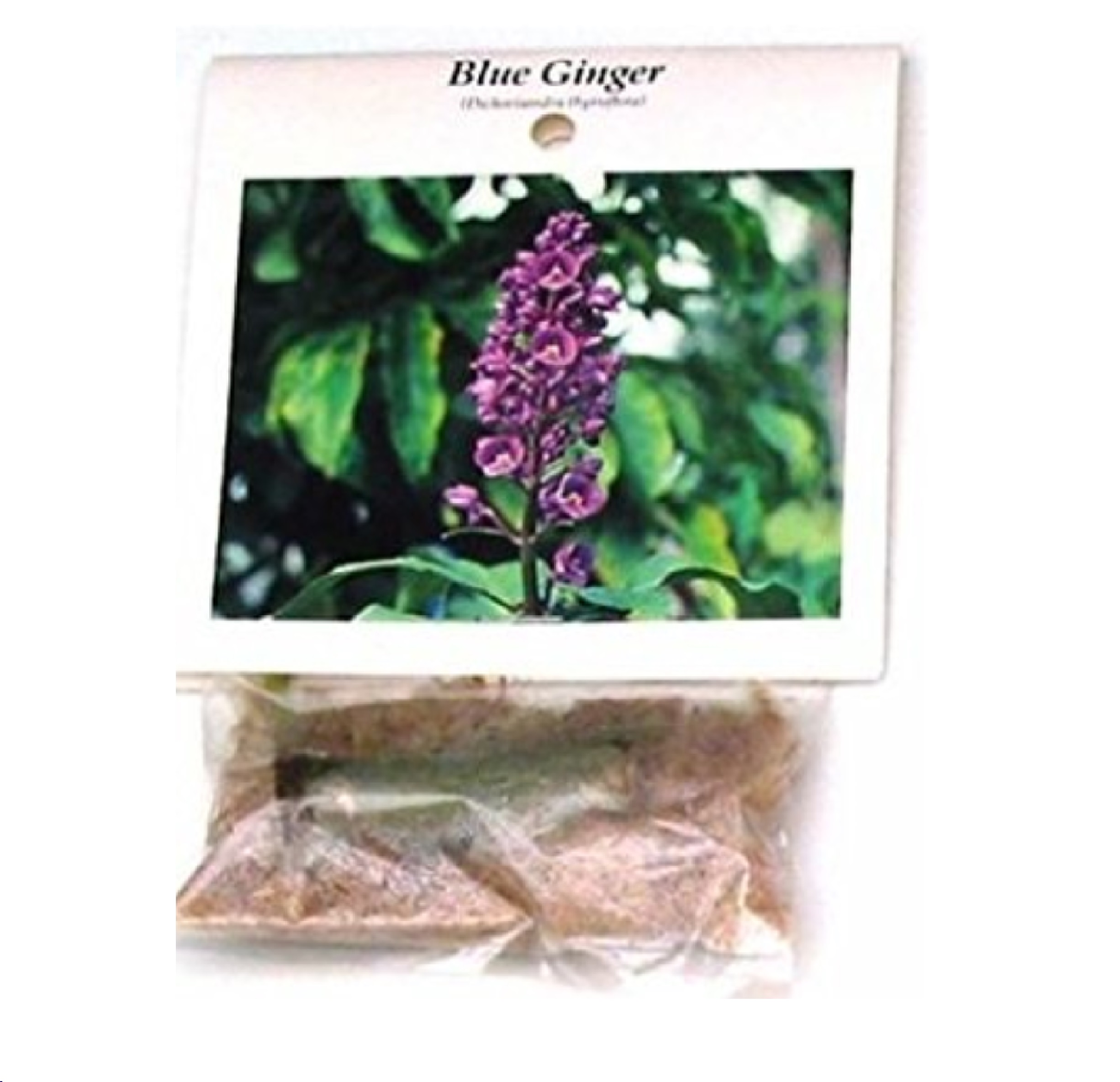 Blue Dichorisandra Thyrsiflora Ginger Plant Bulb 1 PK (2"-4" Long) Partial Sun, Perennial, Indoors Outdoors - image 3 of 8