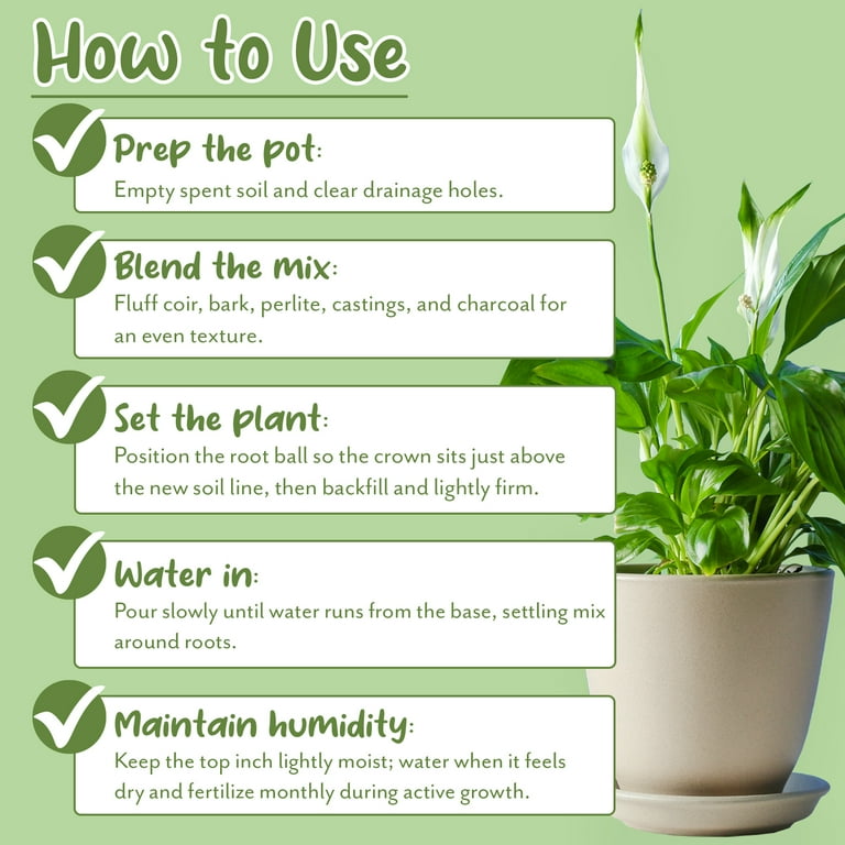 Aroid Plant Potting Soil Mix (8 Quarts), for Pothos Devil's Ivy