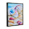 thumbnail image 4 of Stupell Industries Vibrant Seashells on Beach Nature Painting Black Floater Framed Art Print Wall Art, 25 x 31, 4 of 10