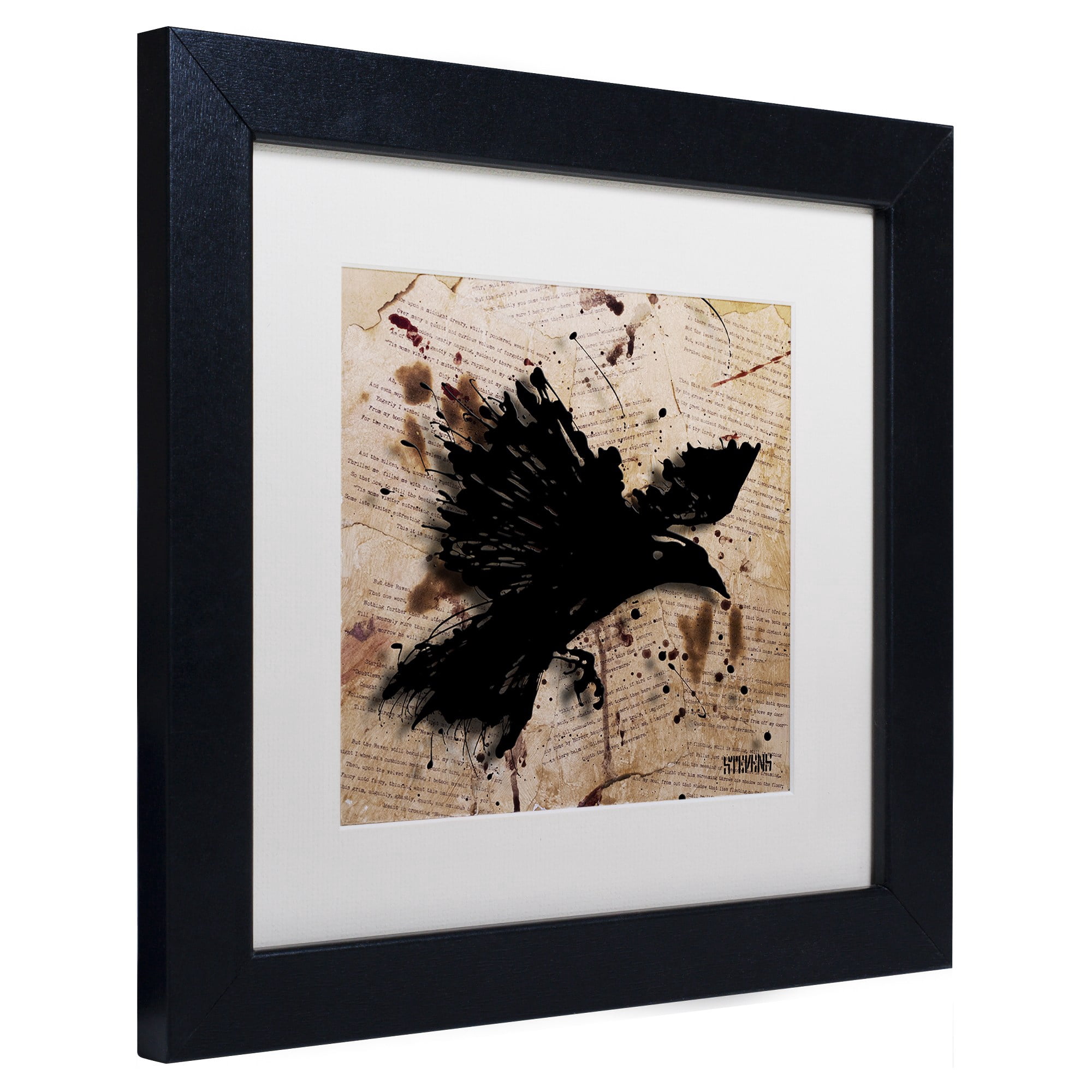 Trademark Fine Art "The Raven 1" Canvas Art by Roderick Stevens, White Matte, Black Frame