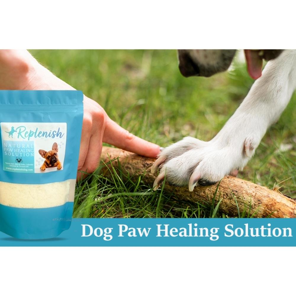 dog paw solution
