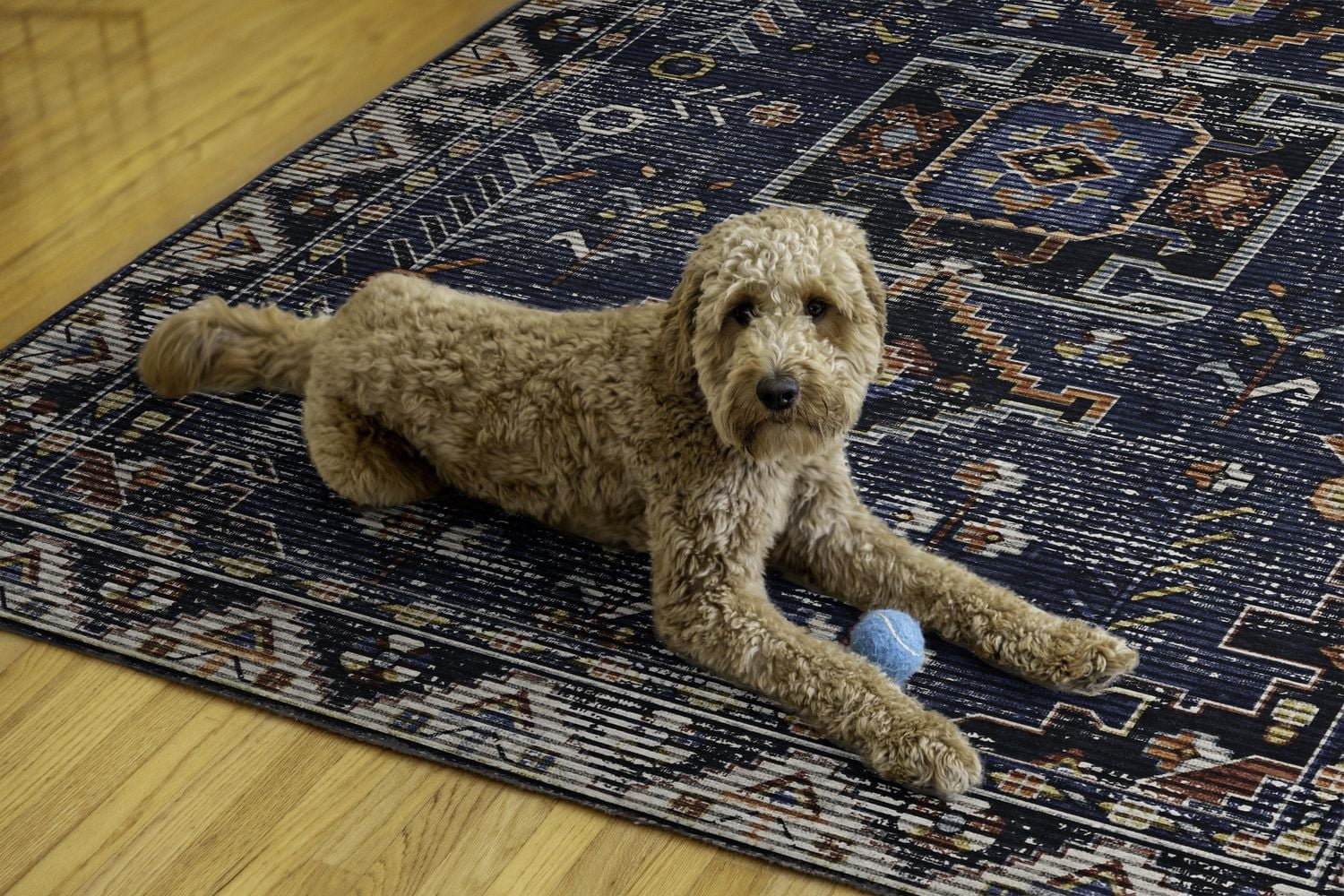 Larson 5' x 7' Washable Area Rug, Teal and Ivory