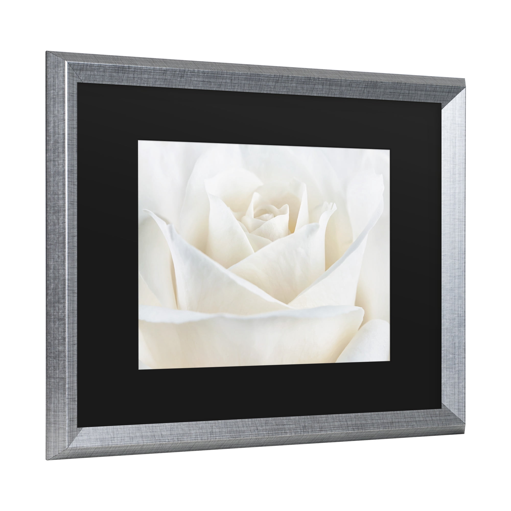 Trademark Fine Art 'Pure White Rose' Canvas Art by Cora Niele