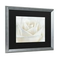 thumbnail image 2 of Trademark Fine Art 'Pure White Rose' Canvas Art by Cora Niele, 2 of 4