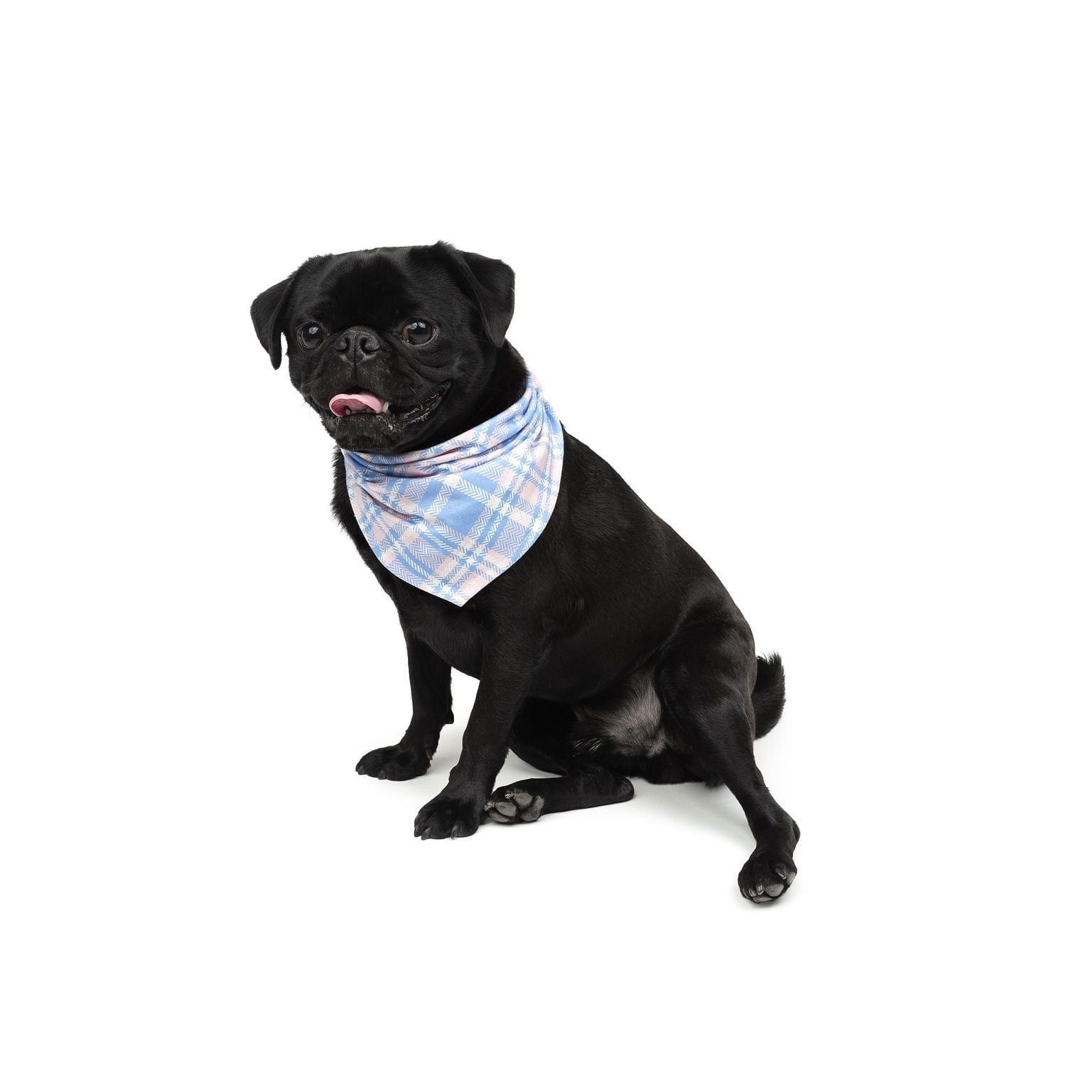 One Paw, Bandana pour Chien, Tissu Doux, Plusieurs Couleurs et Tailles One Paw, Chien Bandana