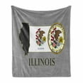thumbnail image 1 of Illinois Soft Flannel Fleece Blanket, Illinois State Map National Union Seal Coat of Arms with Eagle American Borders, Cozy Plush for Indoor and Outdoor Use, 50" x 60", Multicolour, by Ambesonne, 1 of 6