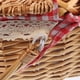 thumbnail image 3 of Cesta de picnic con asas y tapa Cesta de mimbre tejida Cesta de almacenamiento rústica, 3 of 8