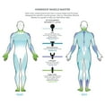 thumbnail image 6 of Homedics Active Fit Compact Percussion Body Massage Gun, Cordless, Deep-Tissue Massage, 6 of 16