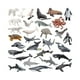 thumbnail image 3 of 30 Piezas Figuras de Animales del Océano Regalo Estatuas en Miniatura Realistas Marinas Animales Marinos Figuras de Animales Marinos, 3 of 9