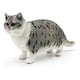 thumbnail image 1 of Estatua de gato modelo Kitty Figuras Juguete de aprendizaje Juguete Decoración Figura de animal de PVC de dibujos animados Modelo realista para la, 1 of 8