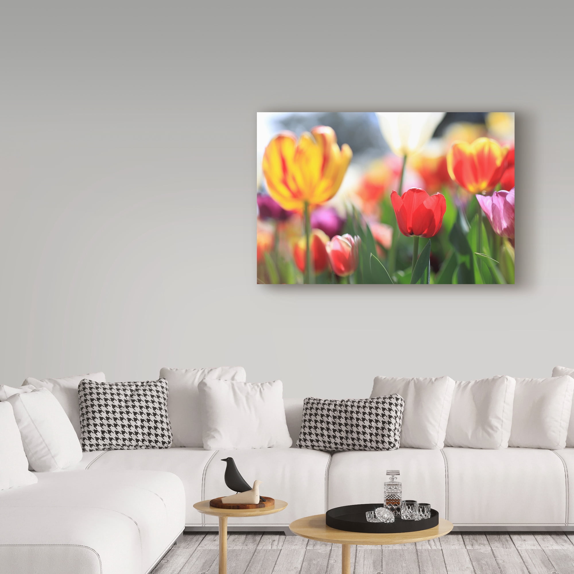 Trademark Fine Art 'Tulip Sonata' Canvas Art by Beata Czyzowska Young