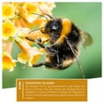 thumbnail image 4 of Wildlife Herz I Hummelhotel for Hanging - Including Bumblebee Lure + Nesting Material, Nesting aid for bumblebees Made of Weatherproof Solid Wood, Bumblebee House, Insect Hotel for The Garden, 4 of 6