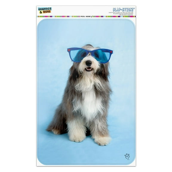 Sheepdog Bearded Collie Dog Giant Blue Sunglasses Home Business Office Sign