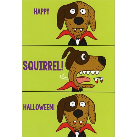 Recycled Paper Greetings Vampire Dog : Squirrel Distraction Funny / Humorous Halloween Card from Dog