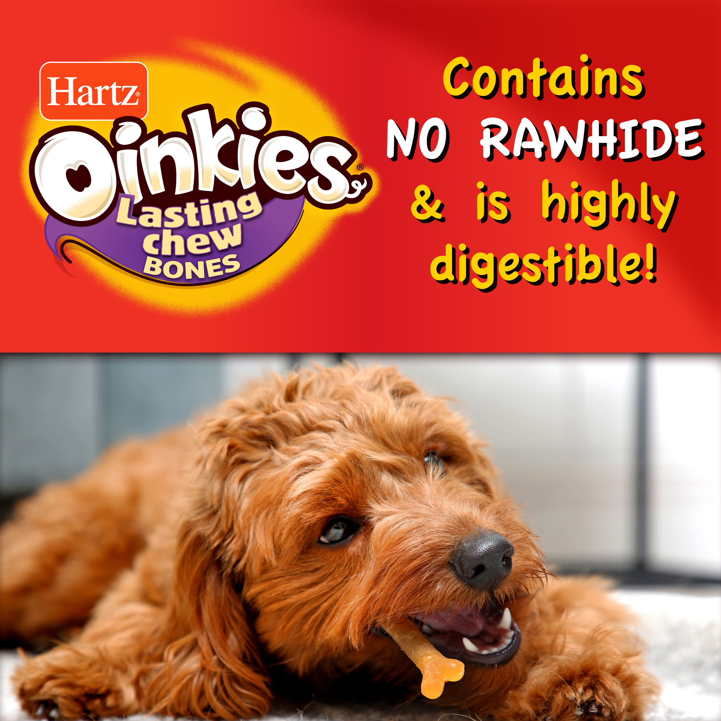 Hartz Oinkies Rawhide-Free Long Lasting Chew Bone Chicken Wrapped Dog Treats, 12 count, 5.9 oz