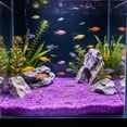thumbnail image 4 of Arena Luminiscente para Acuarios: Grava Decorativa Luminosa, Piedras Noctilucentes para Peceras de Peces Betta y Gambas. Piedras Que Brillan En La Oscuridad para Decoración Subacuática., 4 of 6