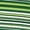 Green White, variant on INSPIRE CHIC Women's Striped Tie Spaghetti Straps Summer Cami Tube Tops M Blue