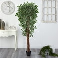 thumbnail image 5 of Nearly Natural 70" Variegated Ficus Artificial Tree UV Resistant (Indoor/Outdoor), 5 of 5
