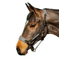 thumbnail image 2 of Whitaker Harewood Horse Halter, 2 of 4