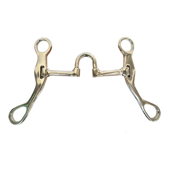 HILASON Horse Correction Bit Mouthpiece is 5 Inch Solid Stainless Metal