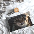 thumbnail image 5 of Pofeuu Pilot Cat In Vintage Plane Print Polyester Microfiber Plush Pillowcases, Super Soft and Cozy Pillow Case Covers with Envelop Closure（Pillow core not included）-, 5 of 6