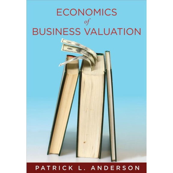 The Economics of Business Valuation : Towards a Value Functional Approach (Hardcover)