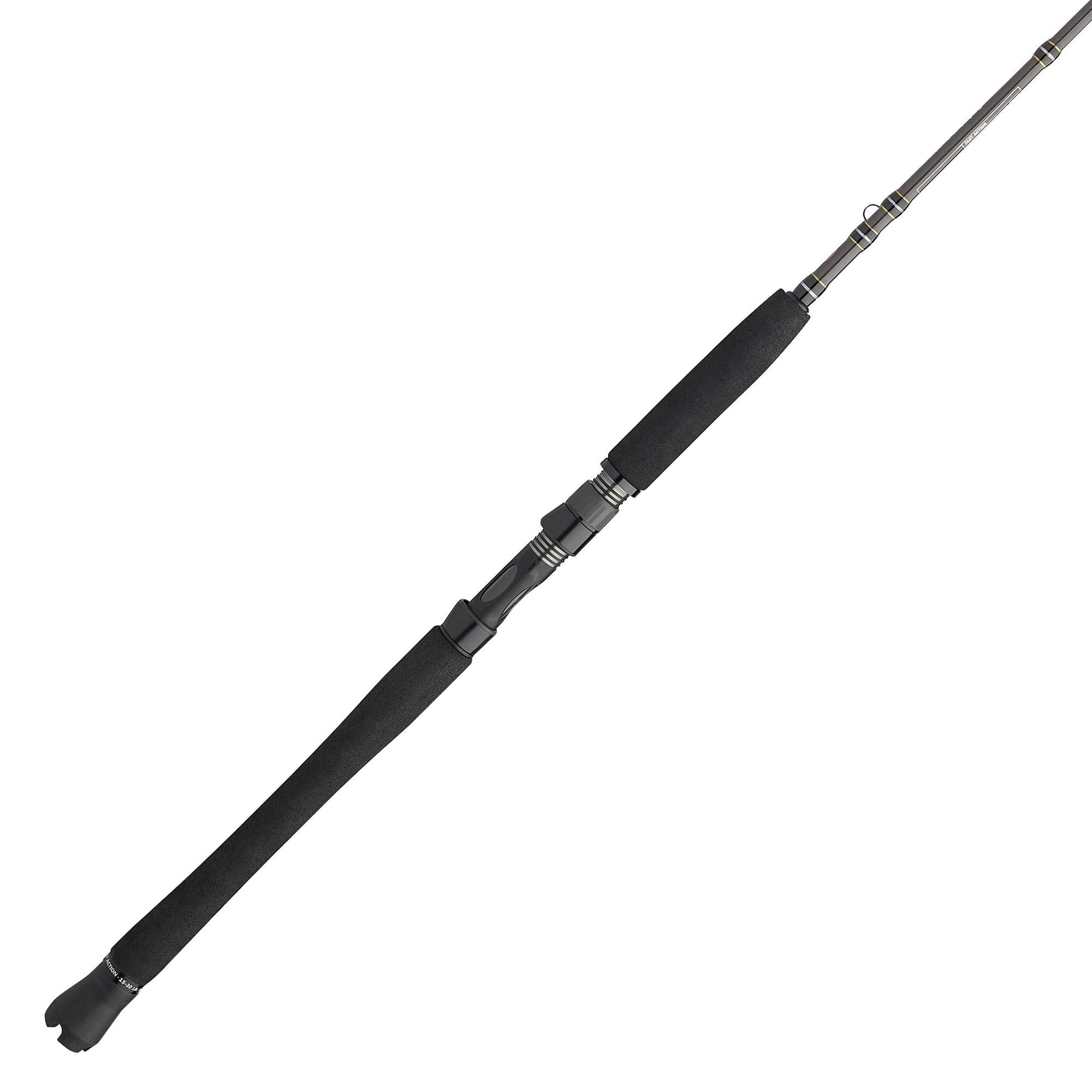 Penn CARINIII1530C70 Carnage III Inshore Cast Rod, SLC blank ...