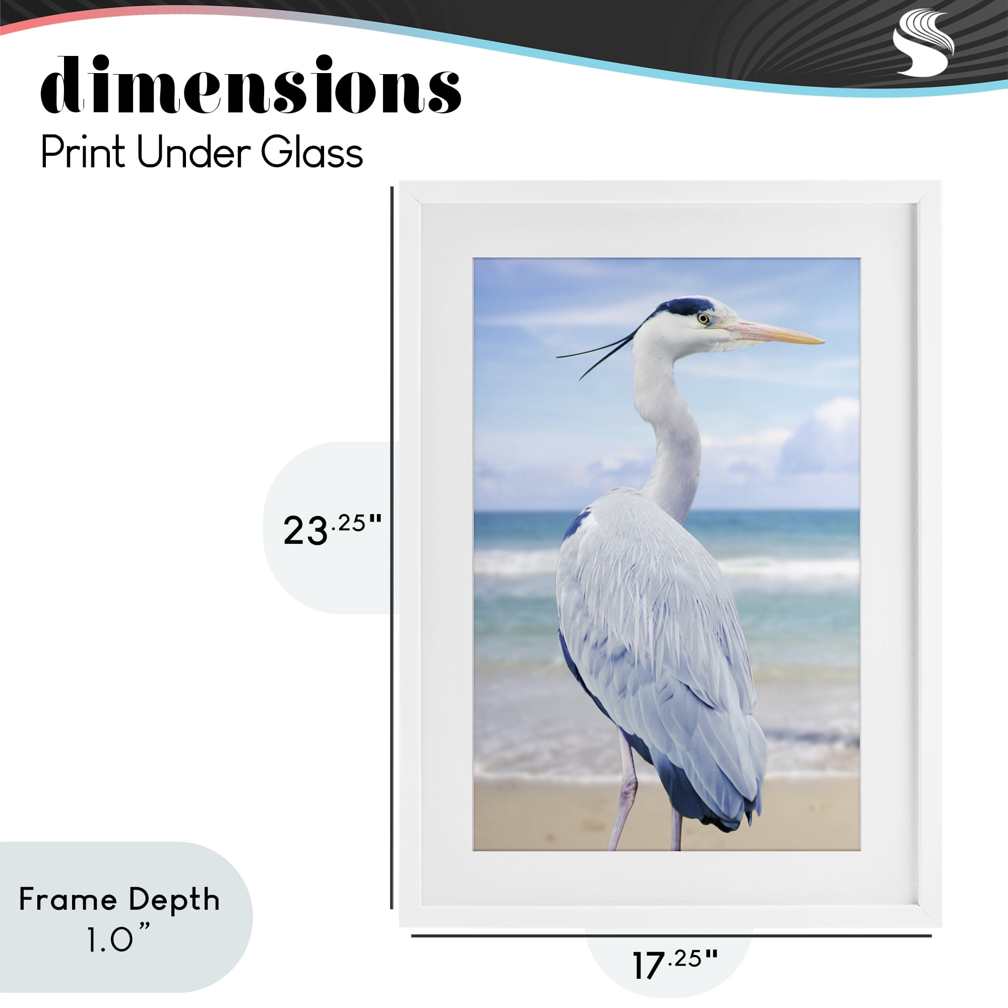 Stupell Industries Vacationing Heron by Seaside White Framed Print Under Glass, design by Marcus Prime