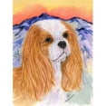 thumbnail image 1 of Carolines Treasures SS8164GF Cavalier Spaniel Flag - Garden Size, 1 of 3