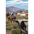 thumbnail image 2 of Art.com Longhorns Stretched Canvas Print Wall Art by Lantern Press, 24" x 36", 2 of 4
