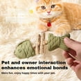 thumbnail image 4 of Natural Cat Dental Toy, Fishbone Catnip & Silvervine Chew Toy — Play, Clean, Enrich, Cat Chew Toy Scratch & Bite Resistant (3PCS), 4 of 7